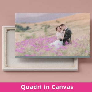 Quadri Canvass